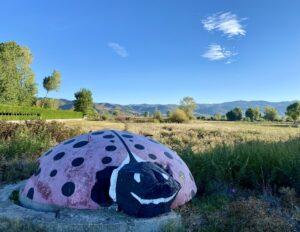 Bunker Lake Ohrid