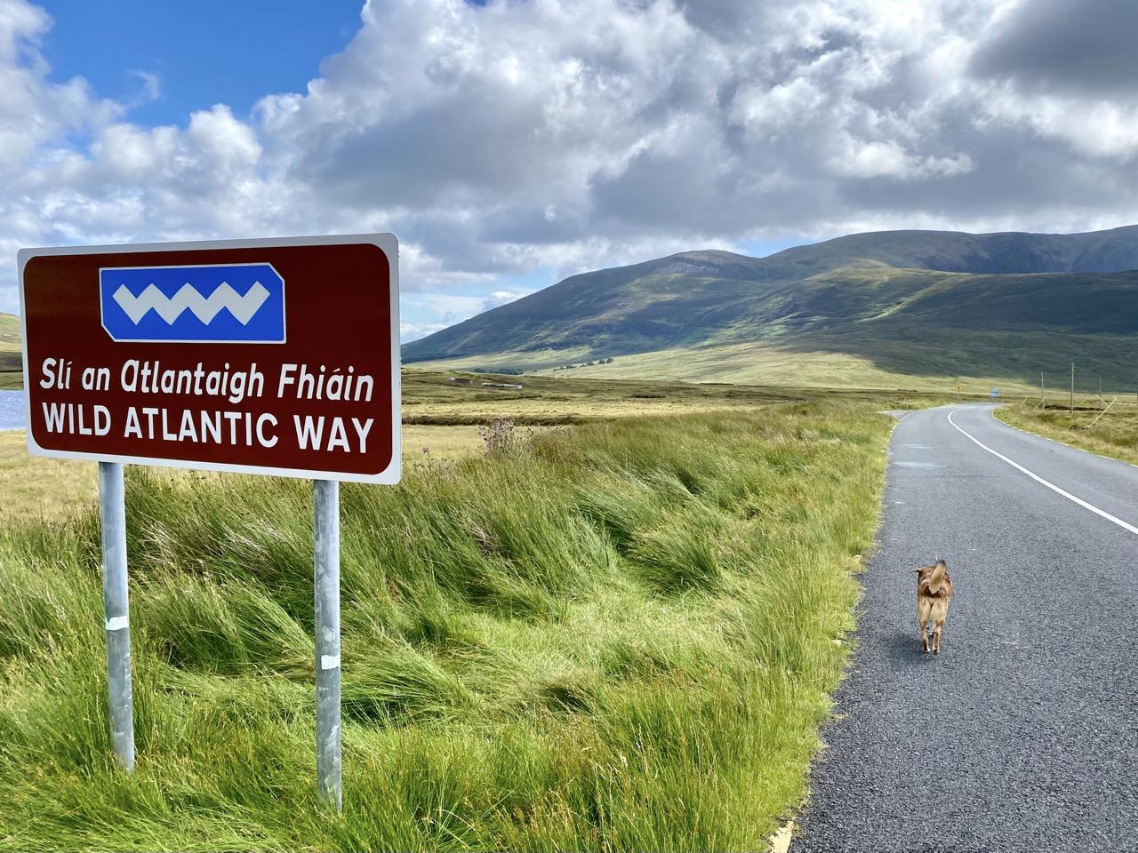 Je bekijkt nu Camperreis Ierland II noorden