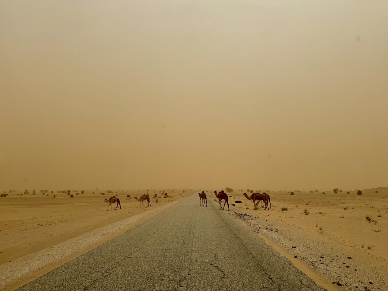 Lees meer over het artikel Vanlife in West-Afrika II, Mauritanië