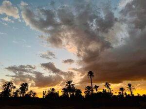 Read more about the article Winter in Morocco II