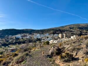 Read more about the article Winter in Andalusia