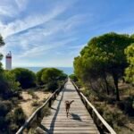 Vanlife in Zuid-Spanje I