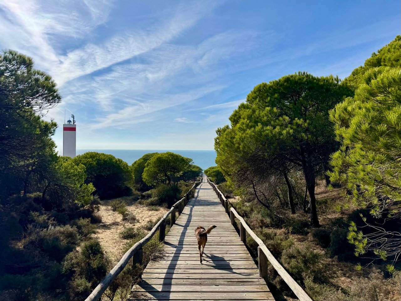 Je bekijkt nu Vanlife in Zuid-Spanje I