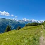 Nieuwe plannen maken!