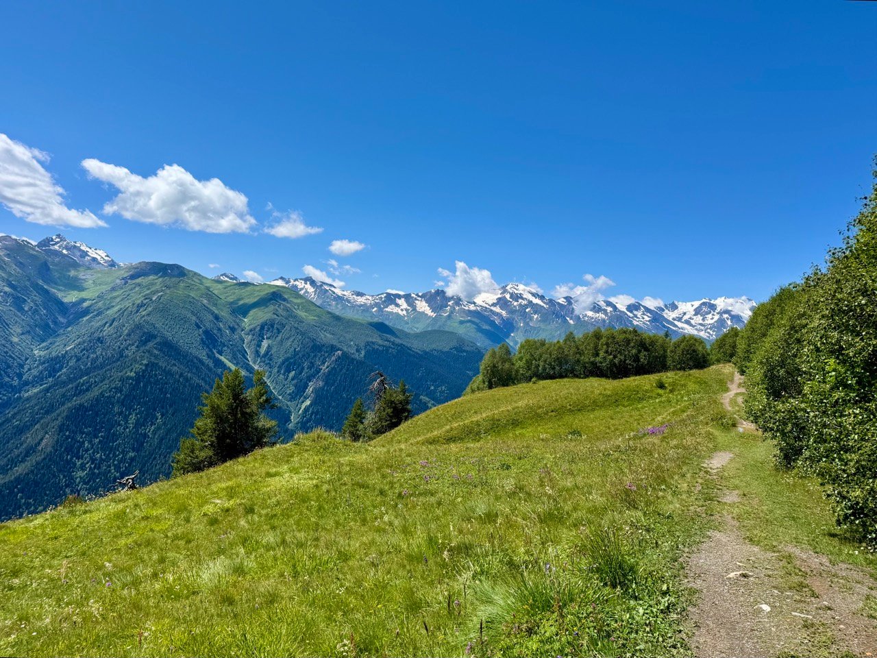 Lees meer over het artikel Nieuwe plannen maken!